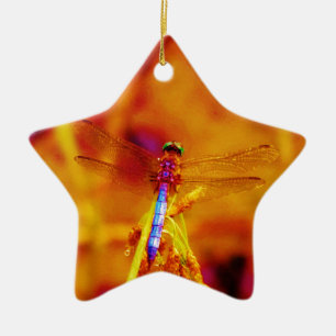Rainbow Dragonfly on amber and fuschia Ceramic Tree Decoration