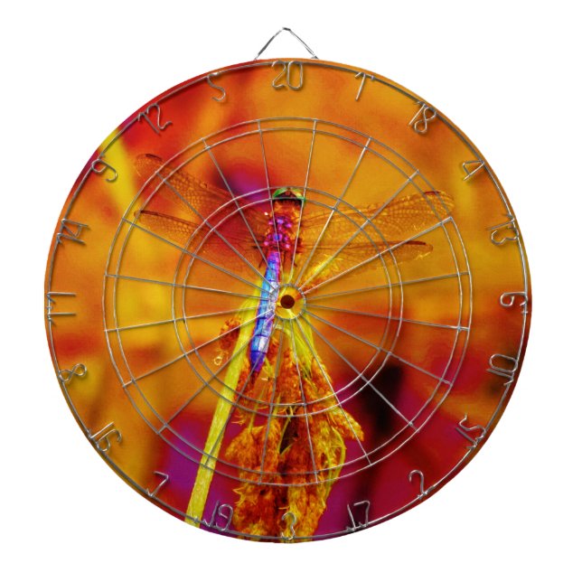Rainbow Dragonfly on amber and fuschia Dartboard (Front)