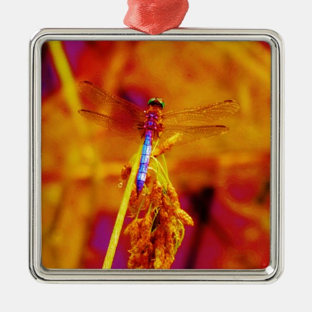 Rainbow Dragonfly on amber and fuschia Metal Tree Decoration (Front)
