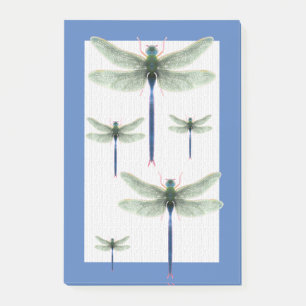 Rainbow Dragonfly Post-it Notes
