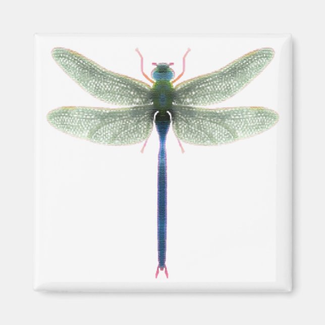 Rainbow Dragonfly Square Magnet (Front)
