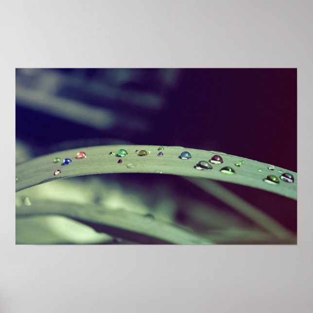 Rainbow Drops Poster / Framed Print (Front)