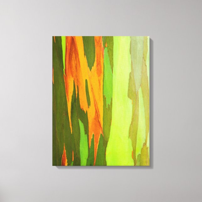 Rainbow Eucalyptus bark, Hawaii Canvas Print (Front)