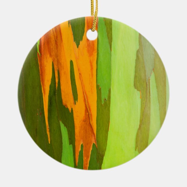 Rainbow Eucalyptus bark, Hawaii Ceramic Tree Decoration (Front)