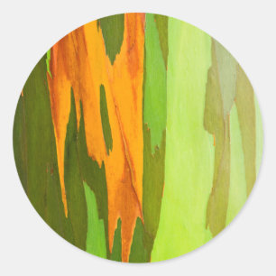 Rainbow Eucalyptus bark, Hawaii Classic Round Sticker