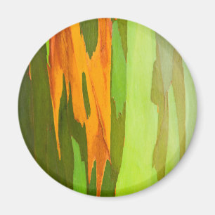 Rainbow Eucalyptus bark, Hawaii Magnet