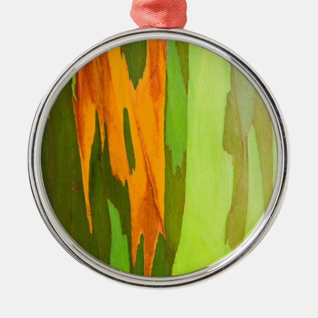 Rainbow Eucalyptus bark, Hawaii Metal Tree Decoration (Front)