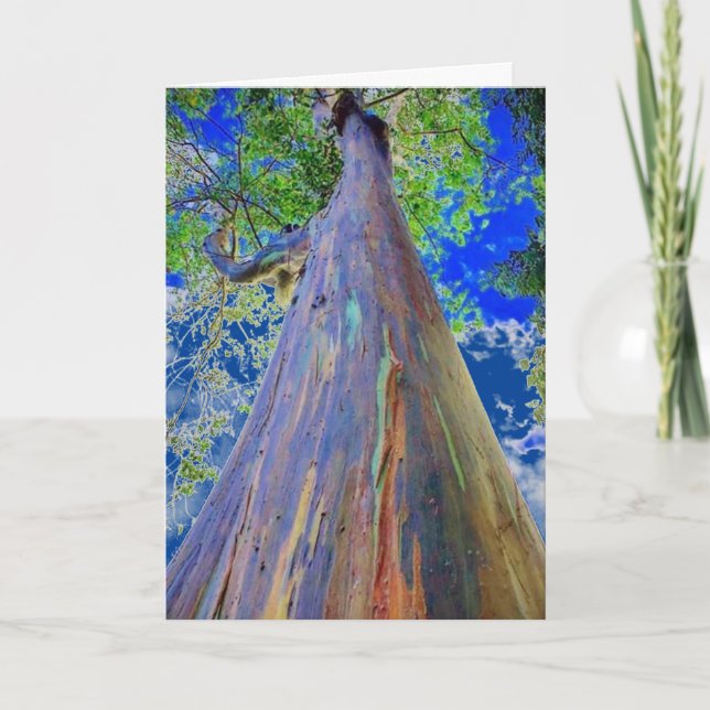 Rainbow Eucalyptus Tree Card (Front)