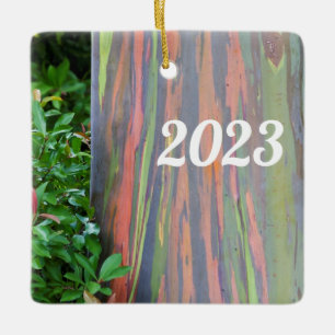 Rainbow Eucalyptus Tree Ceramic Ornament