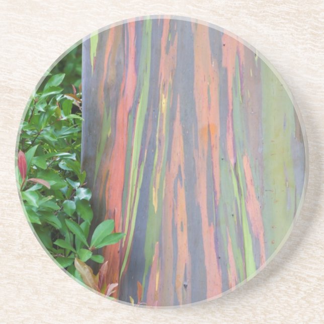 Rainbow Eucalyptus Tree Coaster (Front)
