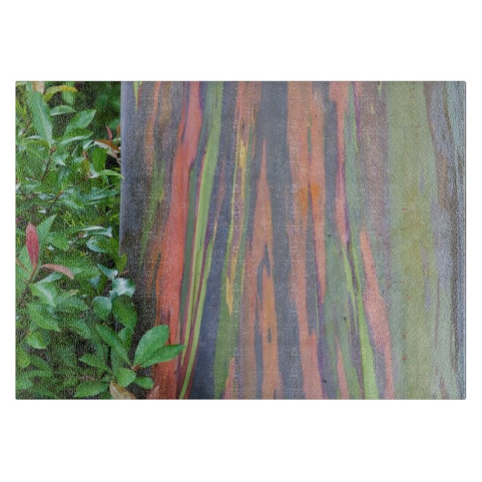 Rainbow Eucalyptus Tree Cutting Board Zazzle.co.uk