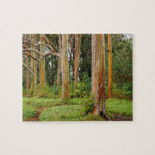 Rainbow Eucalyptus Trees, Maui, Hawaii, USA Jigsaw Puzzle