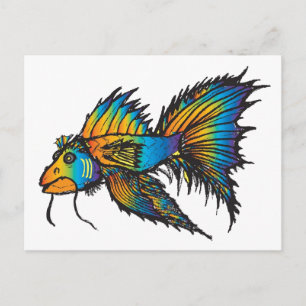 Rainbow fish postcard