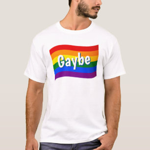 Rainbow Flag Gaybe child of gay parents gay family T-Shirt