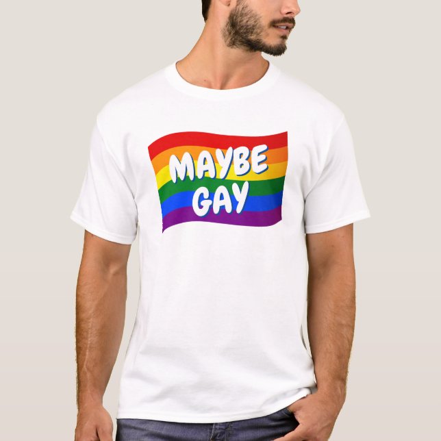 Rainbow Flag Maybe Gay maybe not gay Love is Love T-Shirt (Front)