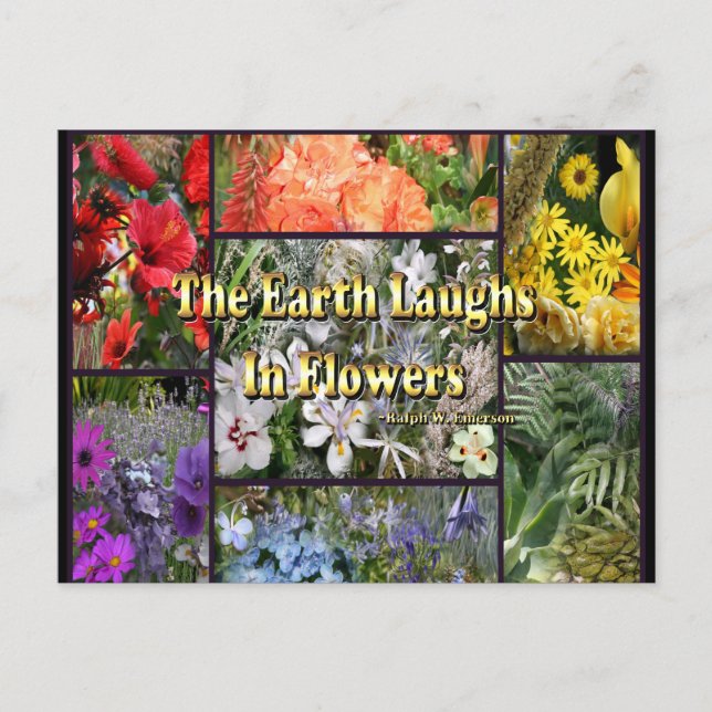 Rainbow Flowers - Earth Laughs by Emerson Postcard (Front)