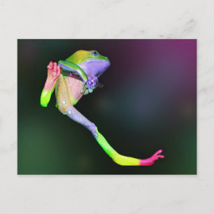 Rainbow Frog Postcard