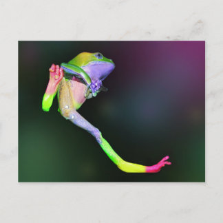 Rainbow Frog Postcard