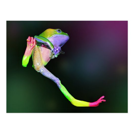 Rainbow Frog Postcard