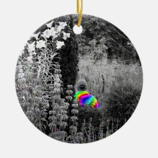 Rainbow Garden Visitor Christmas Ornament (Front)