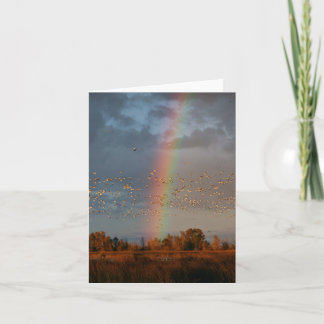 Rainbow & Geese Card