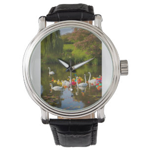 Rainbow Grace – Swans of the English Pond Watch