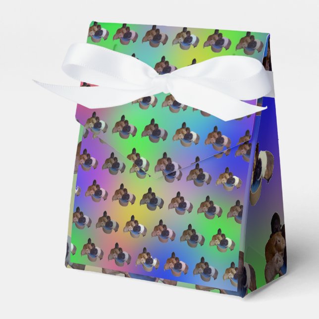 Rainbow Guinea Pigs Pattern, Birthday Favor Box (Front Side)