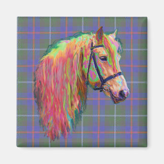 Rainbow highland pony on tartan, customise me! magnet