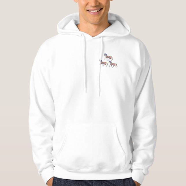 Rainbow horse hoodie (Front)