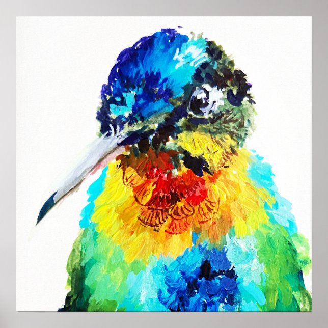 Rainbow Hummingbird Poster (Front)