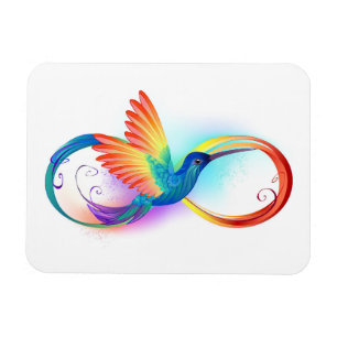Rainbow Hummingbird with Infinity symbol Magnet