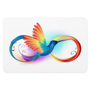 Rainbow Hummingbird with Infinity symbol Magnet