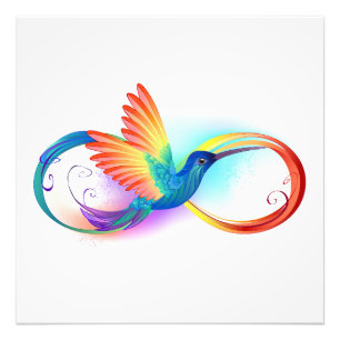 Rainbow Hummingbird with Infinity symbol Photo Print