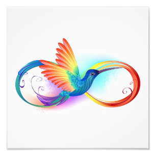 Rainbow Hummingbird with Infinity symbol Photo Print