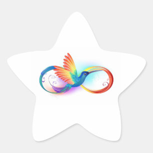 Rainbow Hummingbird with Infinity symbol Star Sticker