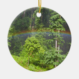 Rainbow in the Forest Ceramic Tree Decoration
