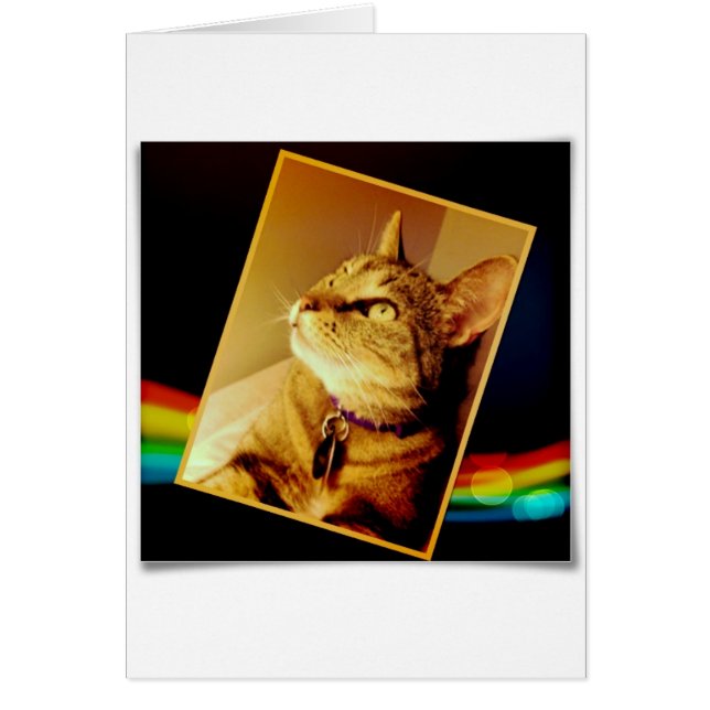 Rainbow Indigo (Front)