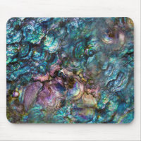 Rainbow Iridescent Abalone Sea Shell