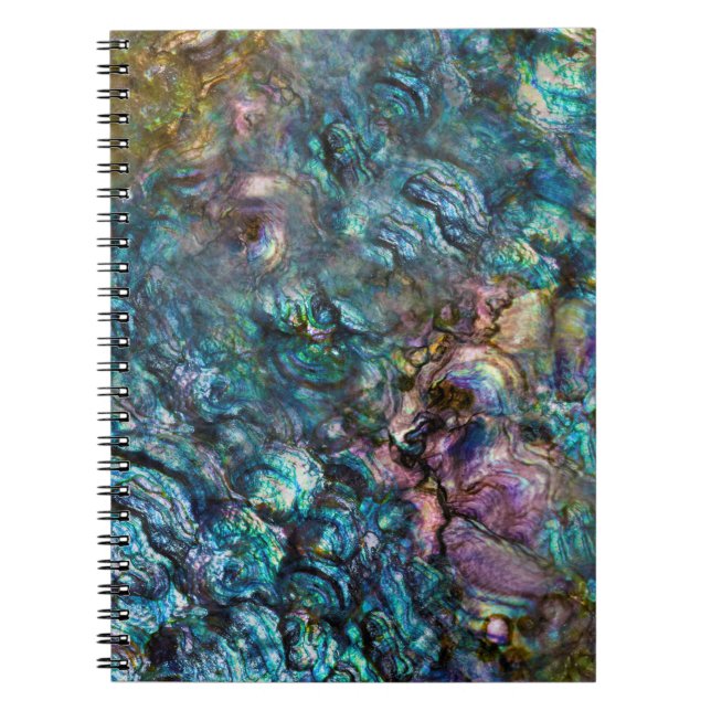 Rainbow Iridescent Abalone Sea Shell Notebook (Front)
