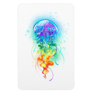Rainbow jellyfish magnet