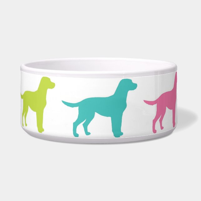 Rainbow Labrador bowl (Front)