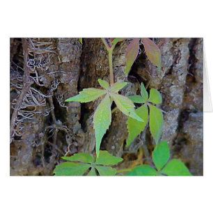 Rainbow Leaves card