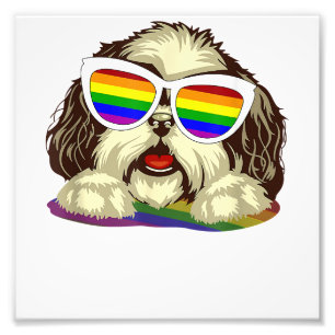 Rainbow LGBT Flag Gay Pride Shih Tzu Dog  Copy Photo Print