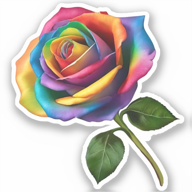 Rainbow Long Stem Rose- (Front)