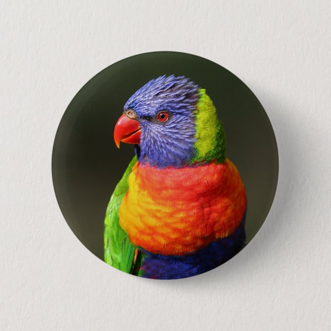 Rainbow Lorikeet 6 Cm Round Badge (Front)