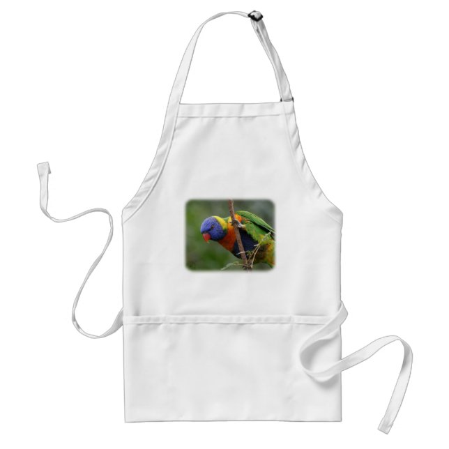 Rainbow Lorikeet 9Y209D-178 Standard Apron (Front)