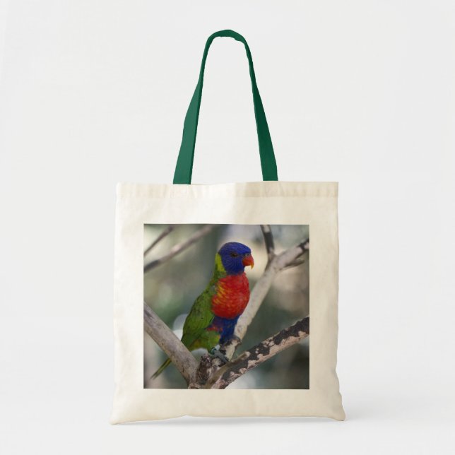 Rainbow Lorikeet Bag (Front)