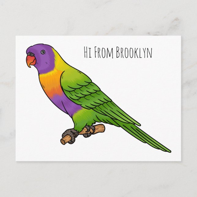 Rainbow lorikeet bird cartoon illustration  postcard (Front)