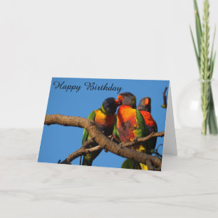 Rainbow Lorikeet blank birthday card