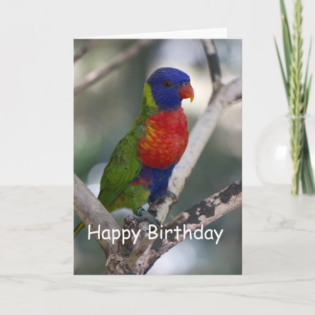 Rainbow Lorikeet Blank Birthday Card (Front)
